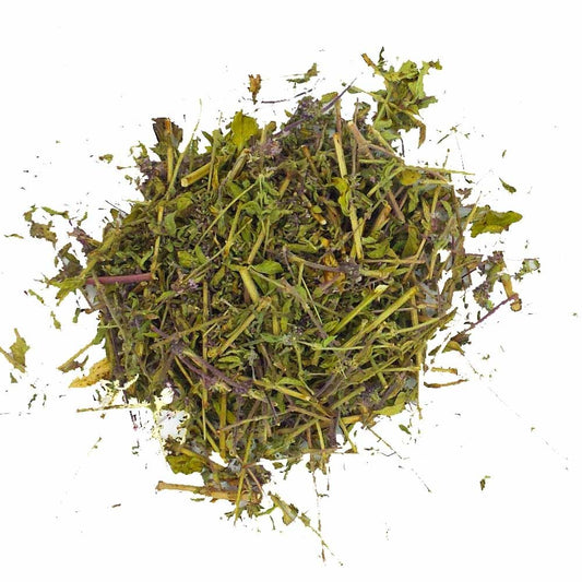 Boca Crete (divlja metvica) (Bio). 30g.