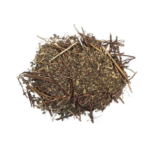 Chanca Piedra PHYLANTHOS uklesana u stijenu. 30g.