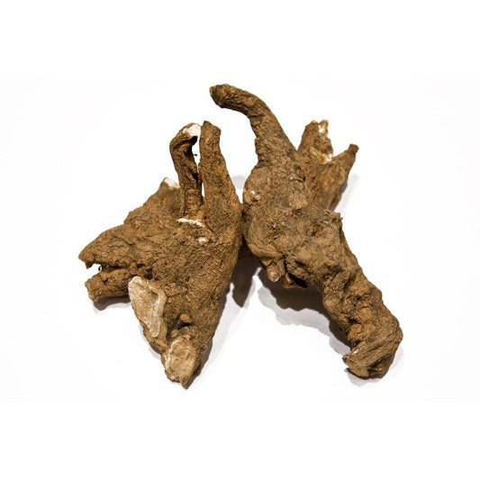 Korijen mandragore. 20g.