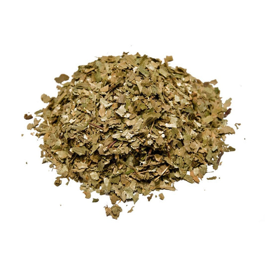 Listovi breze (Betula). 30g.