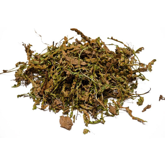 Scorpidohorto. 30g.